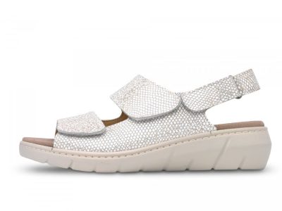 Zapato confort señora 20639